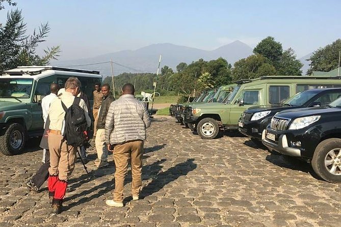 1 Day Gorilla Trekking Rwanda - Meeting and Pickup