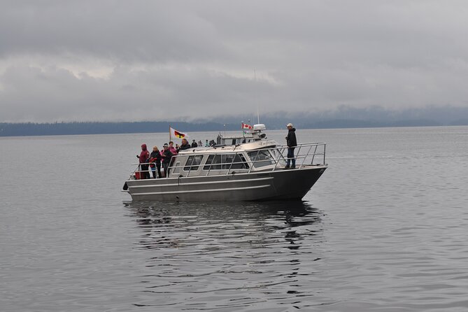 4 Hour Covered Boat Whale and Wildlife Tour - Additional Info