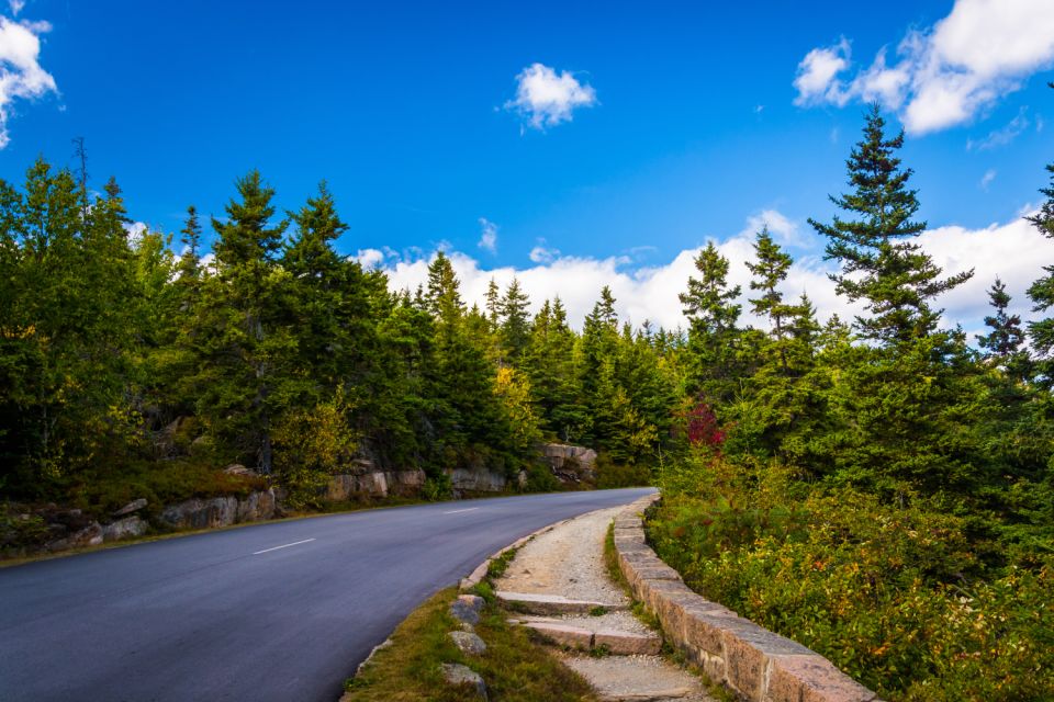 Acadia National Park Self-Guided Driving Tour - Tour Features and Benefits