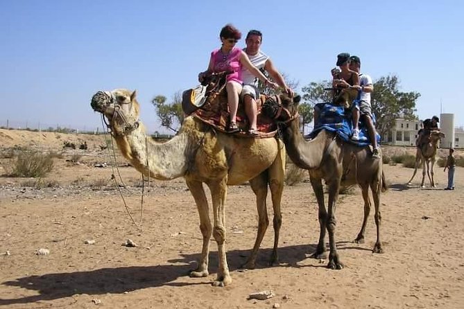 Agadir Camel Riding +Sunset and Dinner( Barbecue) - Hotel Transfers Included