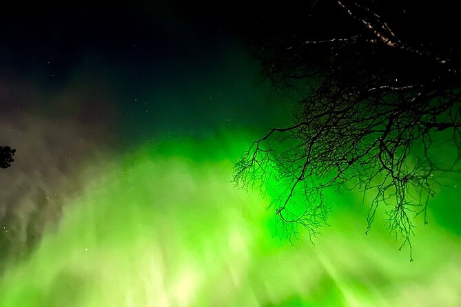 Amazing Aurora BBQ in the Best Spot in Rovaniemi! - Photographic Opportunities