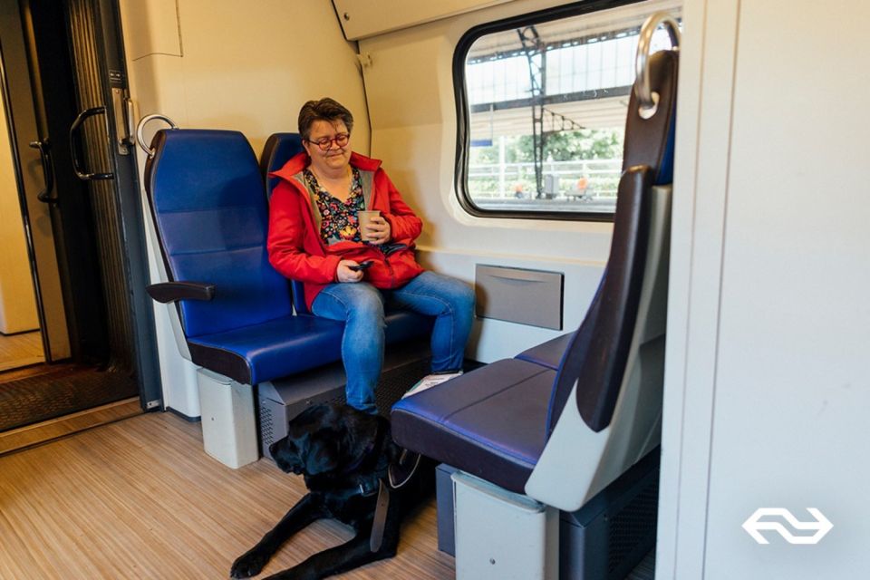 Amsterdam: Train Transfer Amsterdam From/To Rotterdam - Accessibility Accommodations