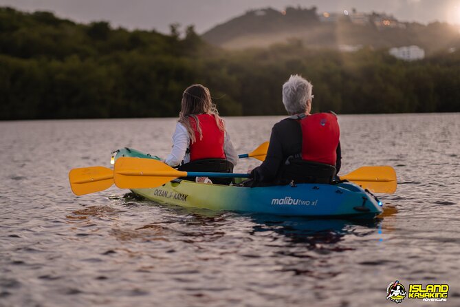 Bioluminescent Glowing Bay Kayaking Adventure in Puerto Rico - Group Size and Experience