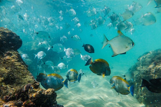 Cape Vidal Snorkeling Adventure - Inclusions and Exclusions