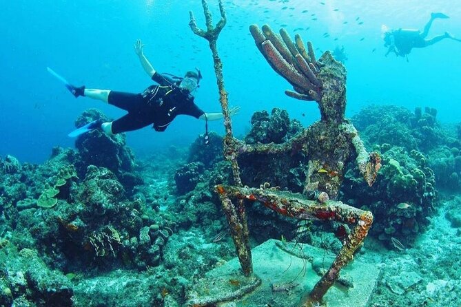 Discover Diving in Curaçao With Transportation Included - Scuba Equipment Provided