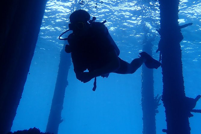 Discover Diving in Curacao - Dive Site: Tugboat