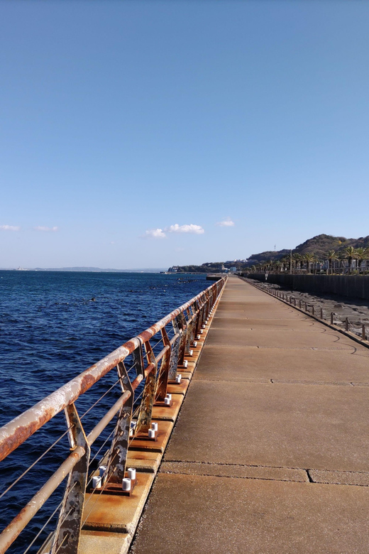 Discover Priceless Yokosuka in Special One-Day Walking Tour - Tour Inclusions