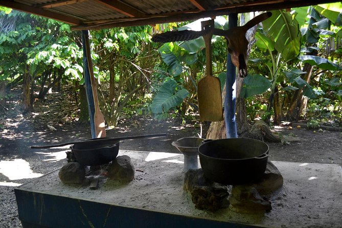 Dominican Republic Countryside Safari Tour From Punta Cana - Buffet Lunch Experience