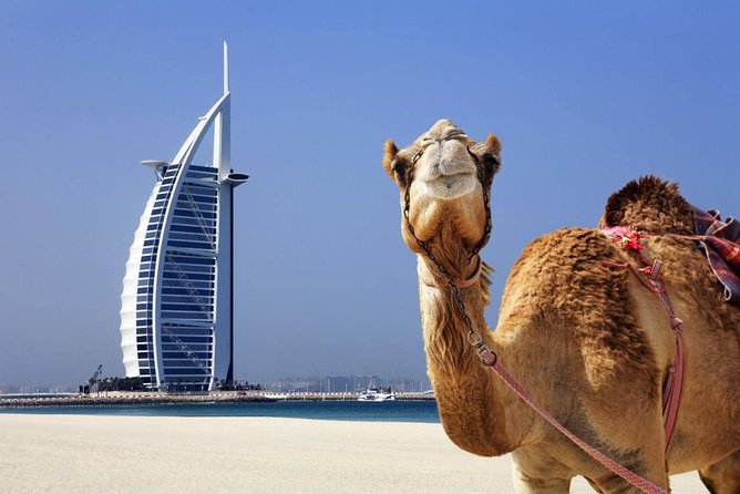 Dubai City Tour : Half Day - Additional Information