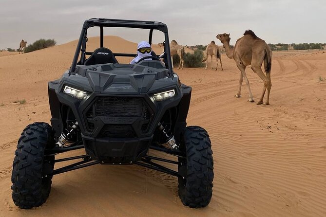 Dubai: Extreme Red Dune Buggy Desert Safari Adventure - Policies and Reservations