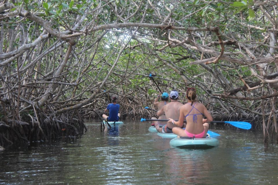 Florida Keys: Full-Day Kayak and Snorkel Reef Adventure - Wildlife Observation