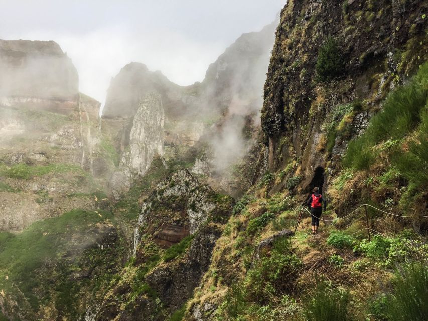 From Funchal: The Peaks Quest Running Tour (Moderate-Hard) - Inclusions and Experience