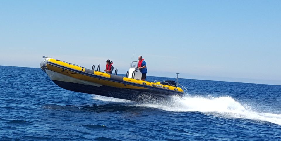 From Peniche: 1-Hour Cabo Carvoeiro Boat Tour - Booking Information