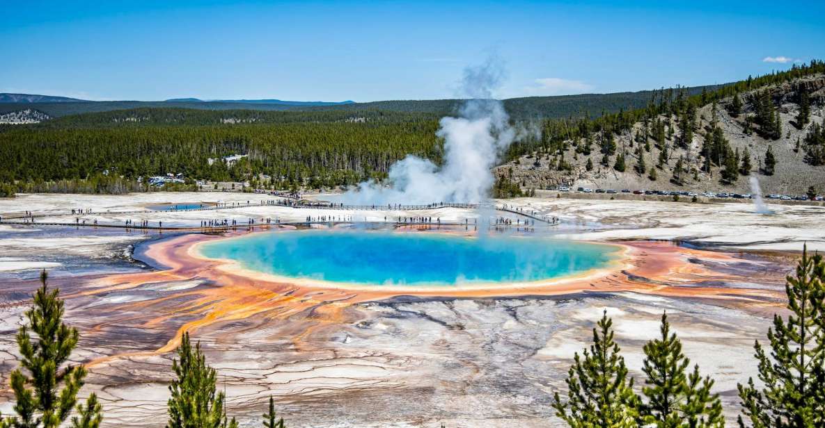 From Salt Lake City: 3-Day Yellowstone Wildlife Adventure - Exploring Yellowstones Treasures