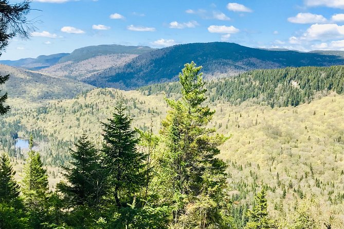 Guided Hike in Jacques-Cartier National Park - Meeting Point and Pickup