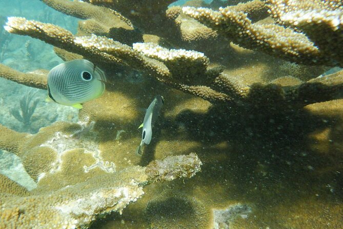 Guided Shore Diving Tour - Health and Fitness Requirements