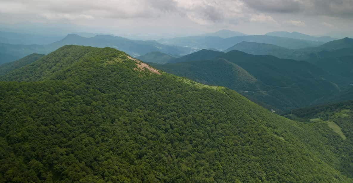 Half Day Hike To the Top of Old Mikuni-kaido Pass - Experience Highlights