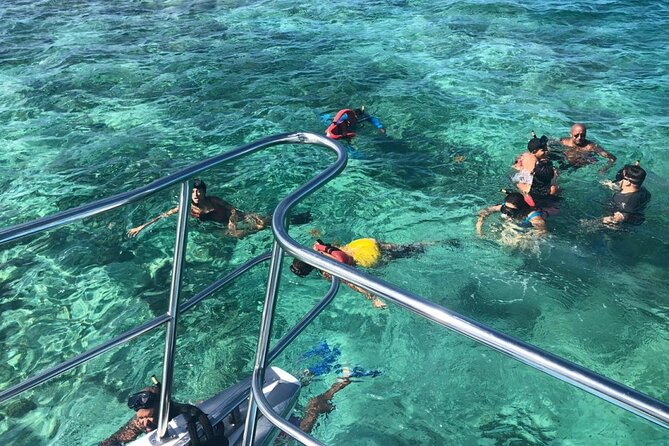 Half-Day Snorkeling Cruise and Natural Pool With Open Bar - Customer Reviews