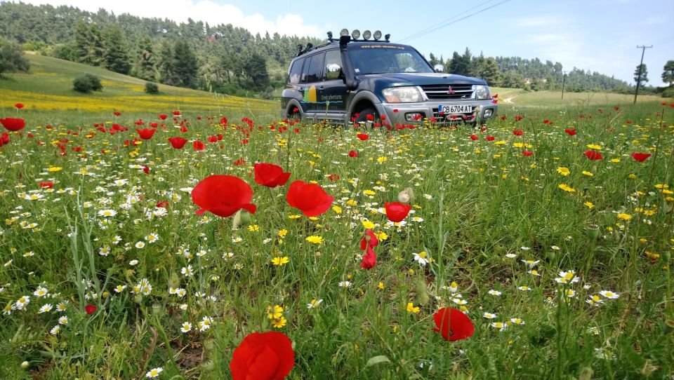 Halkidiki: Kassandra 4x4 Jeep Safari Off-Road Experience - Included Features