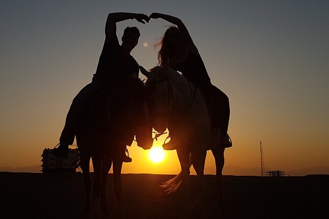 Horse Riding Tour 2 Hours Sea and Desert With Transfer - Hurghada - Pickup and Drop-off