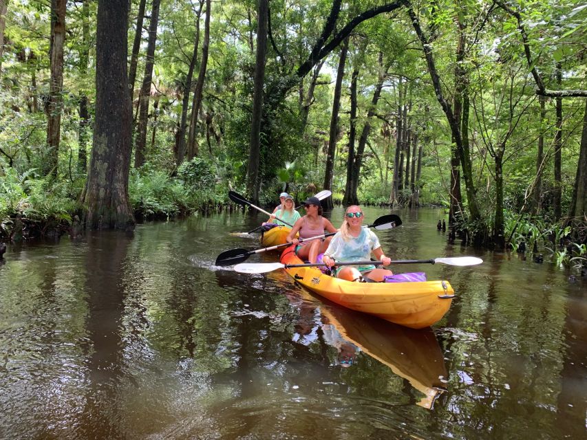 Jupiter: Loxahatchee River Scenic Kayak Tour - Inclusions