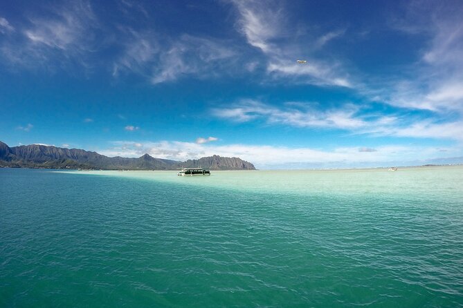 Kaneohe Sandbar Snorkeling Tour, 2nd Tour - Customer Feedback