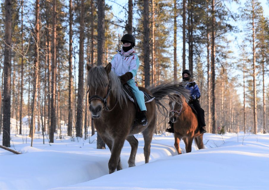 Levi: Snowy Forest Ride and Polar Lights Tours - Tour Itinerary