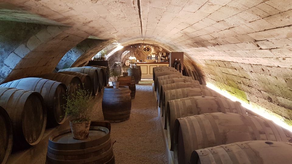 Loire Valley Castles Private Tour From Paris/skip-the-line - Private Winemaking Class