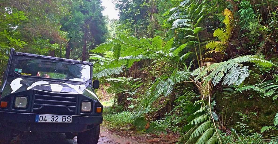 Madeira: Jeep Safari Tour - Pickup and Cancellation