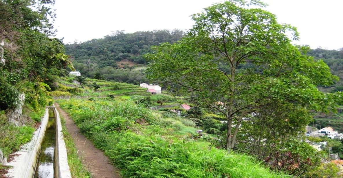 Madeira: Private Hike From Levada Do Caniçal to Machico - Included in the Tour