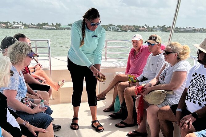 Marco Island Wildlife Sightseeing and Shelling Tour - Included Activities