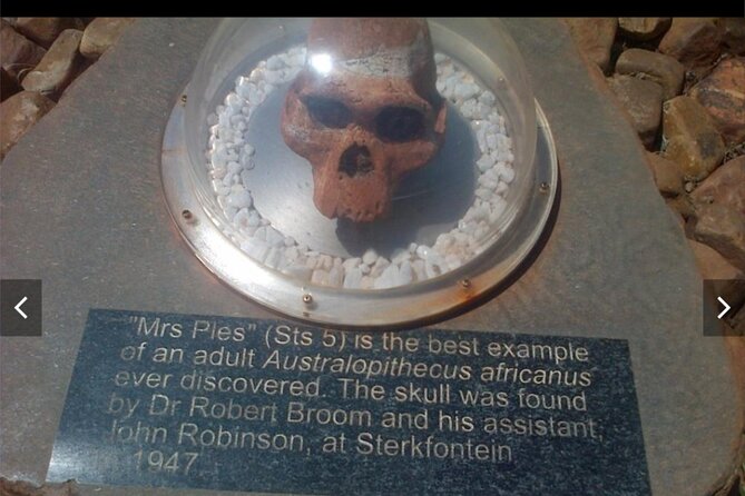 Maropeng Cradle of Humankind & Sterkfontein Cave Experience (Caves Is Closed) - Guided Commentary on Fossil Discoveries