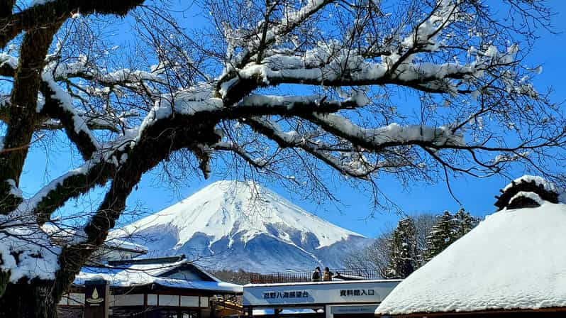 Mt. Fuji and Hakone: Full Day Private Tour W English Guide - Transportation and Pickup Details