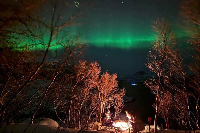 Northern Lights Tour With Hot Food and Drinks in Tromso - Additional Information