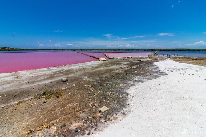 Pink Lakes & Sand Dunes of Baní - Unique Private Full-Day Tour - Participation Details