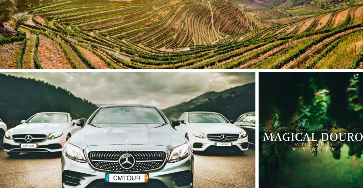 Porto: Private Douro Valley Day With Lunch - Pickup and Drop-off