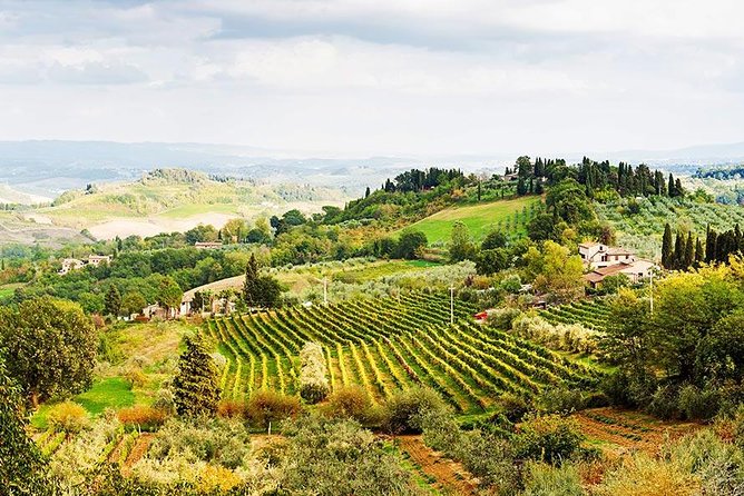 Private Day Trip to Orvieto and Umbria Region From Rome - Itinerary and Logistics