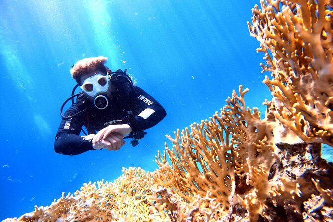 Private Diving Experience in The Heart of Red Sea in Aqaba - Diving Site and Depth