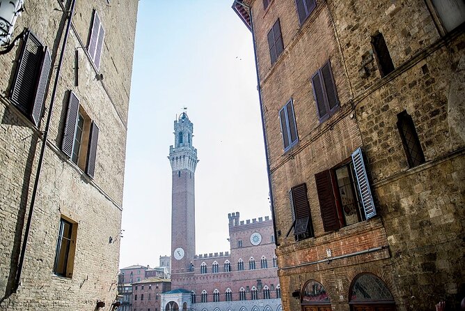 Private Tuscany Tour to Siena and San Gimignano With Winery Lunch - Reviews and Experiences