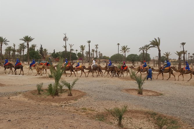 QUAD BIKE Marrakech - Health and Accessibility Information