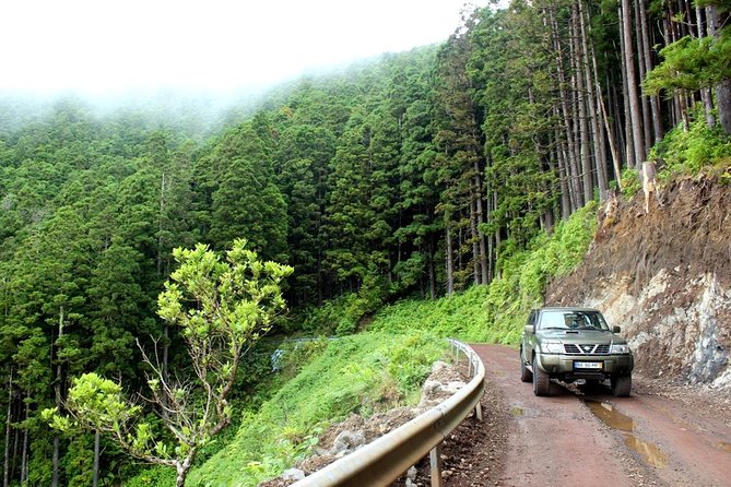 Seize Your Day in São Miguel With a 4x4 Private Tour - Meeting Point and Pickup