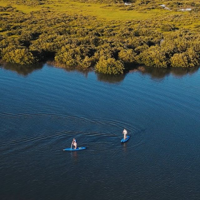 St. Augustine: Standup Pedal-boarding Dolphin Tour - Group Size and Language