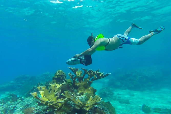 St. Lucia Speedboat and Power Snorkel From Castries - Power Snorkeling Over a Reef