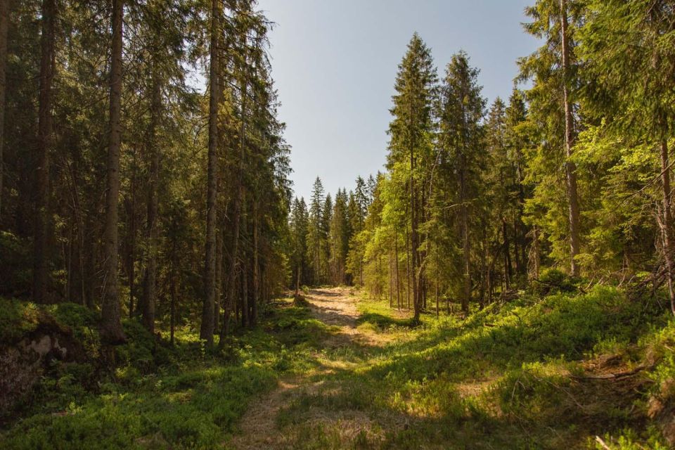 The Spectacular Holmenkollen Walk - Frequently Asked Questions