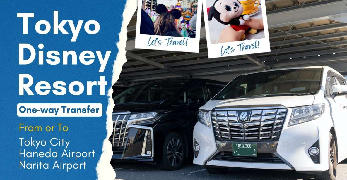 Tokyo Disney Resort Private Transfer: Tokyo, Narita & Haneda - Airport Pickup Options