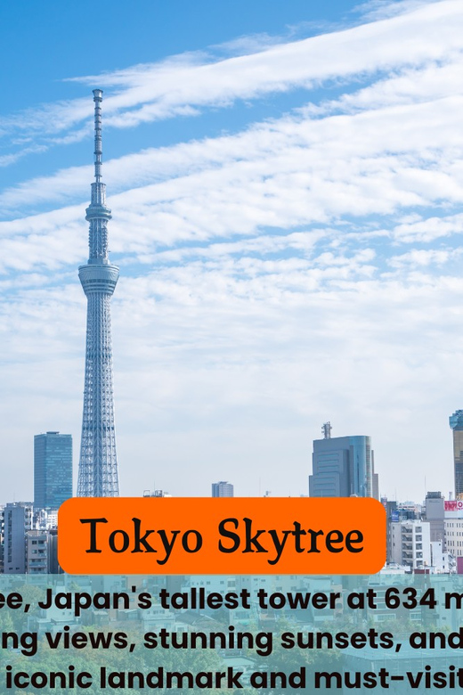 Tokyo Unforgettable Private Tour for Family(Up-To 6 Persons) - Important Information