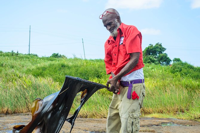 Trinidad Island Sightseeing Tour: Pitch Lake and Chaguanas - Customer Feedback and Experiences