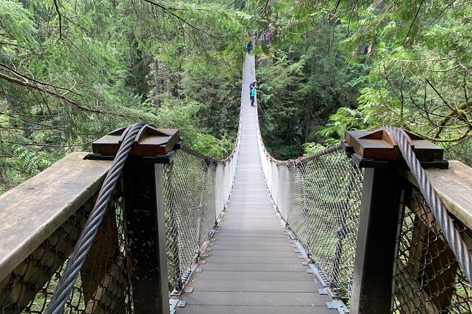 Vancouver Rainforest Hike With Waterfalls, Suspension Bridge, Old Growth Forest - Highlights