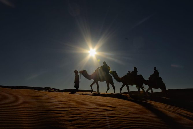 2 Days Trip From Fes to Merzouga With Overnight in Desert Camp - Reviews