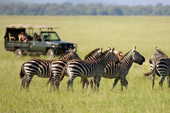 3 Days Maasai Mara From Nairobi - Confirmation and Accessibility